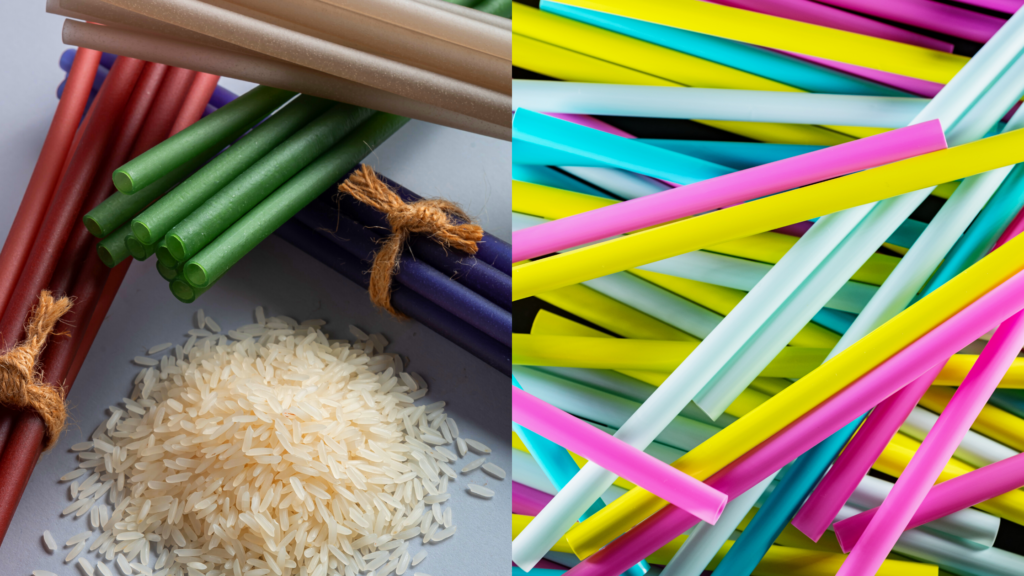 5 Reasons Why You Should Use The Happy Turtle Straw over Plastic Straws